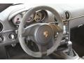 Platinum Silver Metallic - Cayman S Photo No. 5