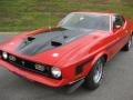 Bright Red - Mustang Mach 1 Photo No. 4