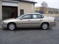 Sandrift Metallic - Impala  Photo No. 4