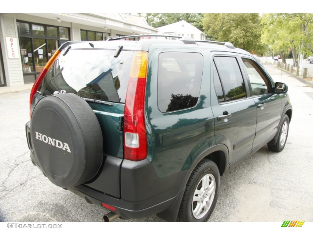 2003 CR-V EX 4WD - Clover Green Pearl / Saddle photo #5