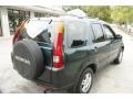 Clover Green Pearl - CR-V EX 4WD Photo No. 5