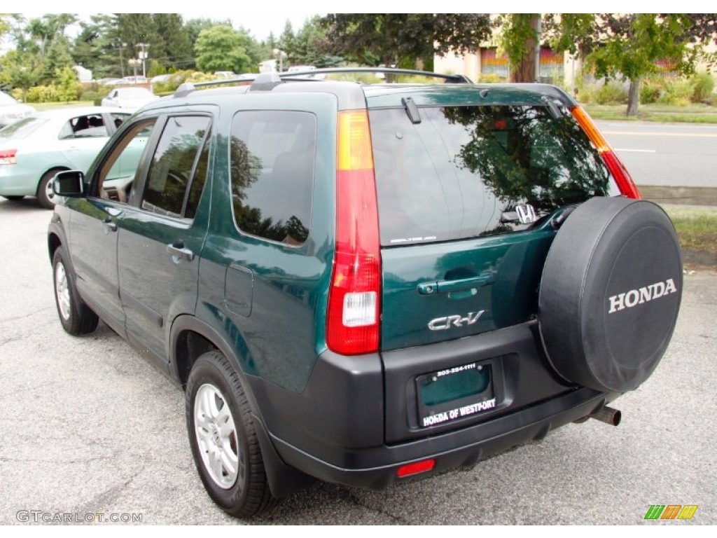 2003 CR-V EX 4WD - Clover Green Pearl / Saddle photo #8