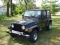 Black Clearcoat - Wrangler SE 4x4 Photo No. 9