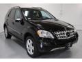 Black - ML 350 4Matic Photo No. 1