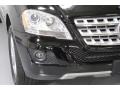 Black - ML 350 4Matic Photo No. 5