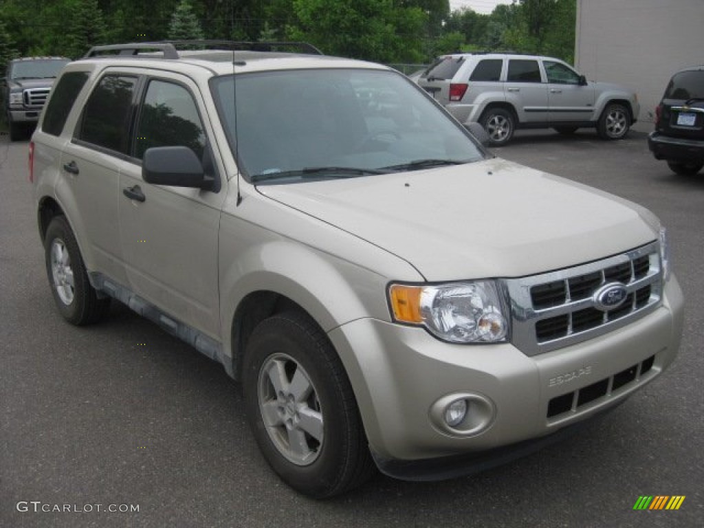 Gold Leaf Metallic 2012 Ford Escape Limited Exterior Photo #52617200