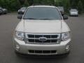 Gold Leaf Metallic 2012 Ford Escape Limited Exterior