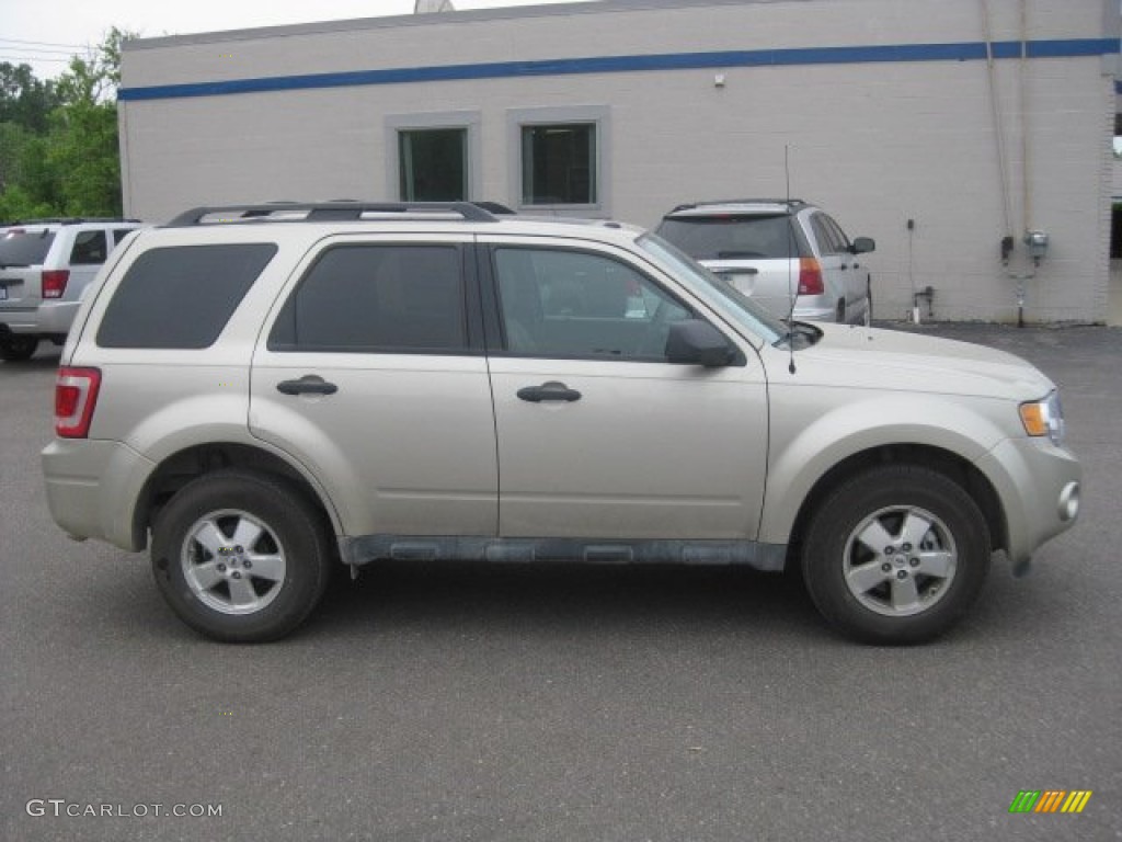Gold Leaf Metallic 2012 Ford Escape Limited Exterior Photo #52617224