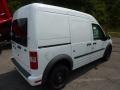 Frozen White 2011 Ford Transit Connect XLT Cargo Van Exterior
