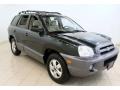 2006 Dark Emerald Green Hyundai Santa Fe GLS 4WD  photo #1