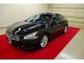 Super Black - Maxima 3.5 SV Photo No. 3