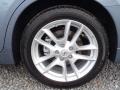 Ocean Gray - Maxima 3.5 SV Photo No. 14