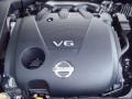 Ocean Gray - Maxima 3.5 SV Photo No. 15