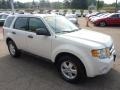 2010 White Suede Ford Escape XLT 4WD  photo #6