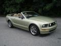 Legend Lime Metallic 2006 Ford Mustang GT Premium Convertible