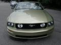 Legend Lime Metallic - Mustang GT Premium Convertible Photo No. 8