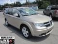 2009 Light Sandstone Metallic Dodge Journey SXT AWD  photo #8