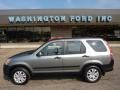 2005 Silver Moss Metallic Honda CR-V EX 4WD  photo #1
