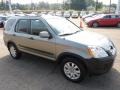 2005 Silver Moss Metallic Honda CR-V EX 4WD  photo #6