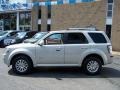Light Sage - Mariner V6 Premier 4WD Photo No. 3