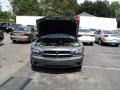 Silver Steel Metallic - Charger SE Photo No. 9