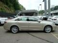 Satin Cashmere Metallic - ES 350 Photo No. 5