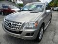 Pewter Metallic - ML 350 Photo No. 1