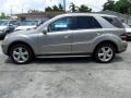 Pewter Metallic - ML 350 Photo No. 2