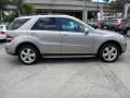  2009 ML 350 Pewter Metallic