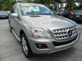 Pewter Metallic - ML 350 Photo No. 7