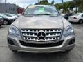 Pewter Metallic - ML 350 Photo No. 8