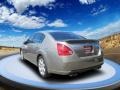 Pebble Beach Metallic - Maxima 3.5 SE Photo No. 3