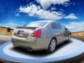 Pebble Beach Metallic - Maxima 3.5 SE Photo No. 4