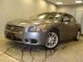 Ocean Gray - Maxima 3.5 SV Photo No. 1