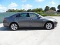 Sterling Grey - Taurus SEL Photo No. 2
