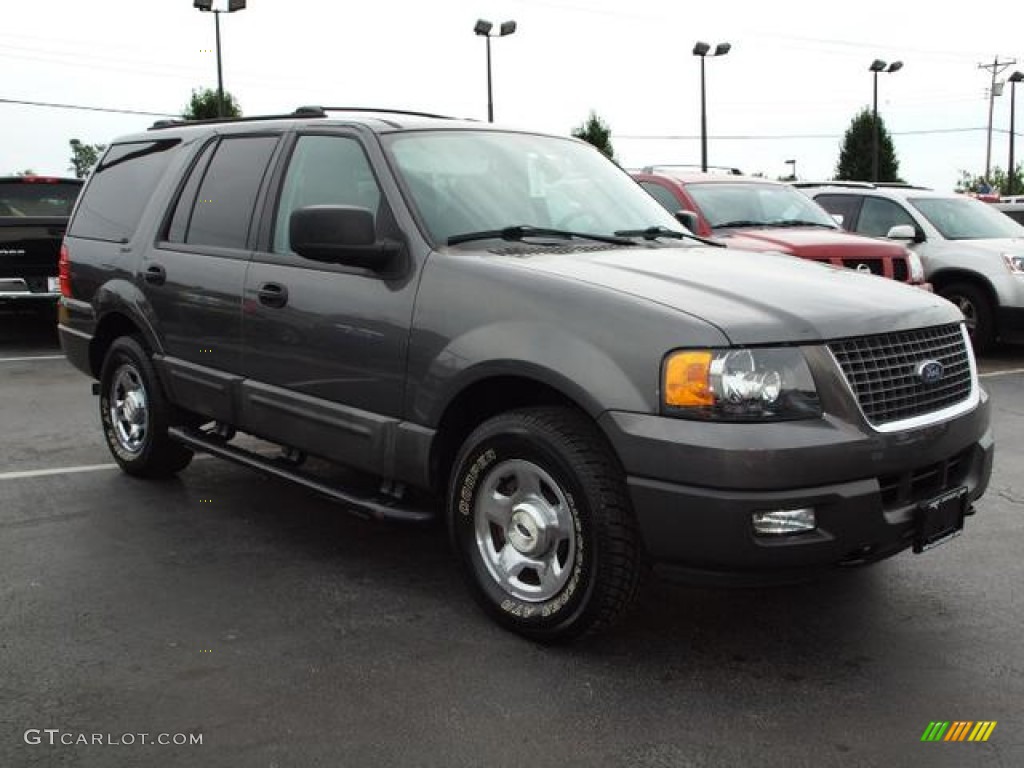 2004 Expedition XLT 4x4 - Dark Shadow Grey Metallic / Medium Flint Gray photo #2