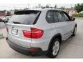 Titanium Silver Metallic - X5 xDrive30i Photo No. 6