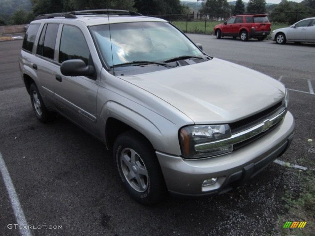 2003 TrailBlazer LT 4x4 - Light Pewter Metallic / Medium Pewter photo #1