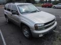 Light Pewter Metallic - TrailBlazer LT 4x4 Photo No. 1