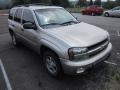 2003 Light Pewter Metallic Chevrolet TrailBlazer LT 4x4  photo #1