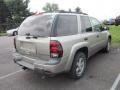 2003 Light Pewter Metallic Chevrolet TrailBlazer LT 4x4  photo #2