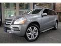 Palladium Silver Metallic 2010 Mercedes-Benz GL 350 BlueTEC 4Matic Exterior