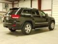 Brilliant Black Crystal Pearl - Grand Cherokee Overland Summit 4x4 Photo No. 8