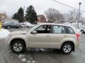Clear Beige Metallic 2007 Suzuki Grand Vitara Standard Grand Vitara Model Exterior