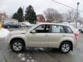  2007 Grand Vitara  Clear Beige Metallic