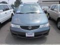 Sage Brush Pearl - Odyssey LX Photo No. 2
