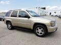 2004 Sandstone Metallic Chevrolet TrailBlazer LT 4x4  photo #6