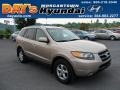 Golden Beige - Santa Fe GLS 4WD Photo No. 1