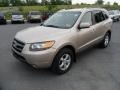 Golden Beige - Santa Fe GLS 4WD Photo No. 3