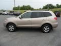 Golden Beige - Santa Fe GLS 4WD Photo No. 4